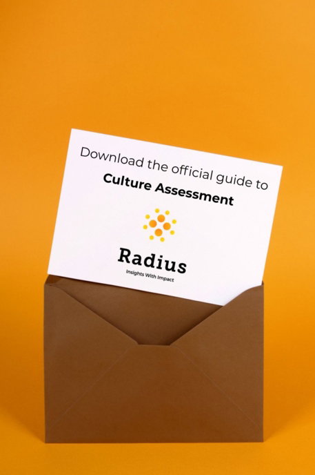 Radius-Guide-to-Culture-Assessment.jpg